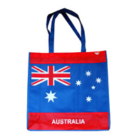 浦东KB50广告无纺布袋